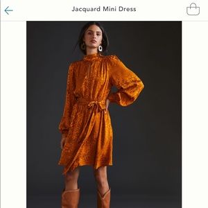 Anthropologie Jacquard Mini Dress